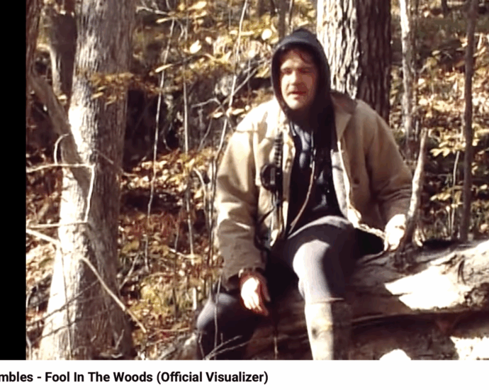 John Shambles Fool in the Woods screenshot nightMairCreative.com